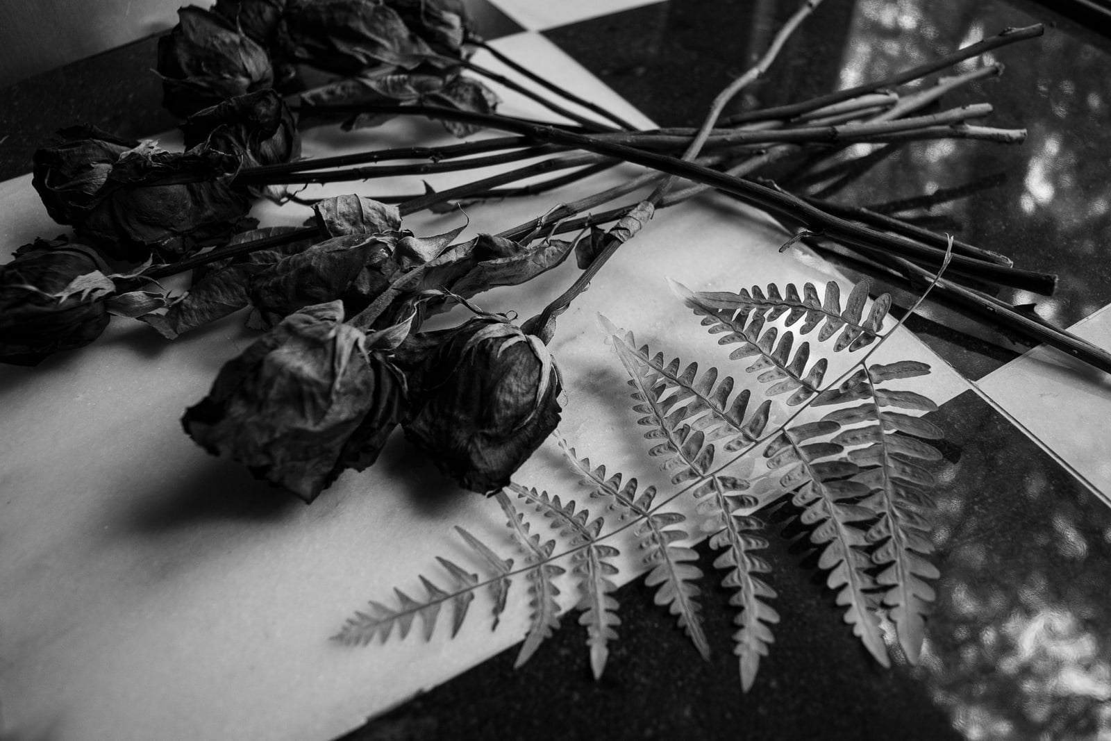 FERN New York packaging and shipping